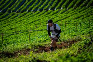 BIB: 3034
                            <button type="button" onclick="openModal(19160783)" class="btn btn-primary btn-sm float-right btn-popup" data-toggle="modal" data-target=".modal-high-quality">
                        <i class="fas fa-shopping-cart"></i> Add to Cart
                    </button>
                                            <button type="button" onclick="isThisMe(19160783, true)" class="btn btn-success btn-sm float-right btn-popup btn-isme hidden" data-toggle="tooltip" data-placement="bottom" title="นี่คือรูปของคุณใช่ไหม คลิกที่นี่เพื่อเอาเข้าอัลบั้ม">
                        <i class="fas fa-plus"></i> Add to album
                    </button>
                    <button type="button" onclick="isThisMe(19160783, false)" class="btn btn-warning btn-sm float-right btn-popup btn-isnotme hidden">
                        <i class="fas fa-ban"></i> Remove from album
                    </button>